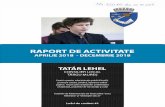 RAPORT DE ACTIVITATE 2018 Tatar Lehel.pdf · TATAR LEHEL CONSILIER LOCAL TÂRGU MURES Comisia pentru administraţie publică locală, protecţie socială, juridică, apărarea ordinii
