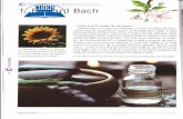 Flori de Bach - cdn4.libris.rocdn4.libris.ro/userdocspdf/651/Irene Wyle -Flori de Bach.pdf · plet absorbite de probleme se ascund în amintiri pentru a nu înfrunta prezentul. Aceastä