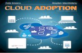Felix Enescu Bogdan Marchidanu CLOUD ADOPTION...furnizori de cloud din diverse ţări care îşi caută potenţiali clienţi pe piaţa locală. Faţă de ediţia de anul trecut a studiului