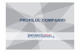 Company Profile RO2010 - softconsulting.cluj.astral.rosoftconsulting.cluj.astral.ro/public/solutii/Zucchetti/Company Profile_Zuchetti.pdf · Puncte forte competitive ale Zucchetti