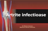 Artrite infectioasebaicus.ro/Reumatologie/artrite_infectioase_2019.pdfInfluenta infectiei HIV pe alte boli reumatice •Artrita septica: rara; Staf, Strepto, oportunisti, mycobacterii