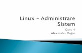 Curs 4 Alexandru Bujor - Bluedrive SolutionsCurs 4 Alexandru Bujor ... completat in procesul de instalare ... Activarea rutarii pe o masina linux ...