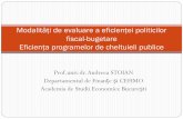 Modalități de evaluare a eficienței politicilor fiscal ... · cantitativ, se determinăca raport între ceea ce s-a realizat şi între ceea ce s-a propus (prognozat, previzionat)