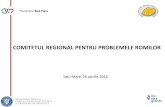 COMITETUL REGIONAL PENTRU PROBLEMELE ROMILORprois-nv.ro/docs/Material_prezentare_CRPR.pdf · 2016-08-04 · Formarea profesionala a romilor in meseria de zidar-pietrar-tencuitor Modernizarea