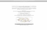 STRATEGIA DE DEZVOLTARE TERITORIALĂ A ROMÂNIEIsdtr.ro/upload/STUDII/13. Sinteza - Cai de comunicatii si... · 2014-06-19 · 4 Strategia de Dezvoltare Teritorială a României Studii
