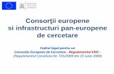 Consorţii europene si infrastructuri pan-europene de cercetare · 2014-04-23 · de competenta etc, ... Fiecare proiect poate beneficia de sprijin financiar prin intermediul Programului