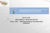 MASTER - Universitatea din Craiova master/Curs...iliotibial (Tr), (fig. 3.6), aşezat extern faţă de femur, se pune în mod reflex în tensiune, imediat ce femurul membrului de sprijin
