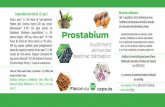 Prostabium RO 140x60mm finit - Institutactiscience · Prostabium Supliment alimentar A nu se lăsa la îndemâna şi la vederea copiilor mici. destinat bărbaţilor. Flacon cu capsule
