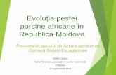 Evoluția pestei porcine africane în Republica Moldovaansa.gov.md/uploads/files/Prezentari/Evoluția pestei porcine africane... · Cum arată PPA? • Moarte subită a ... • Stabil