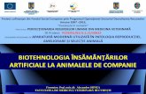 BIOTEHNOLOGIA ÎNSĂMÂNŢĂRILOR · 1 BIOTEHNOLOGIA ÎNSĂMÂNŢĂRILOR ARTIFICIALE LA ANIMALELE DE COMPANIE Formator: Prof. univ. dr. Alexandru ŞONEA FACULTATEA DE MEDICINĂ VETERINARĂ