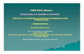 FIAR 2016, Brasov · fiar 2016, brasov asigurarile si seismele istorice. efectele cutremurelor asupra patrimoniului din transilvania-siebenb Ürgen - exemplul brasovului