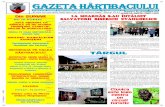 Gazeta Hartibaciului ianuarie 2009 - Agnita · a depus un proiect la Ambasada SUA ºi spre surpriza ºi bucuria lor, rãspunsul a venit imediat, concretizat prin alocarea sumei de