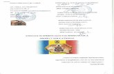 thenextgenerationsgv2.rothenextgenerationsgv2.ro/.../2012/11/...romaneasca.pdf · formarea statului national unitar roman Ideea unitatii nationale in operele literare Sunt mandru