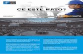 CE ESTE NATO? · 2019-09-25 · metodelor pentru menţinerea păcii. NATO îşi reorientează capabilităţile de apărare pentru a răspunde ameninţărilor din ziua de astăzi.