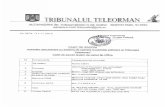 Scanned Document - Justportal.just.ro/87/Documents/caiet de sarcini.pdf · 2016-11-14 · CNET DE SARCINI "Achizitie calculatoare cu sisteme de operare si pachete software la Tribunalul