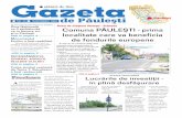 Gazeta - Primaria Paulesti 25_noiembrie 2010.pdf · proiect foarte important pentru comuna Pãuleºti. La monumentul din Parcul cu Castani, Ziua Naþionalã va fi sãrbãtoritã,