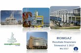 ROMGAZ Prezentare - T1 2017 ro.pdf · Cotă de piață de 3,6%* în T1 2017 în termeni de energie electric ... Acorduri petroliere pentru 9 perimetre de explorare onshore (circa