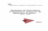 Strategia de Dezvoltare a Sistemului Judeţean de …bibliotecadigitala.bjbv.ro/vlib/Strategia.pdfplanificare strategică din 16-17 mai 2012 susţinut de IREX cu sprijinul a doi consultanţi,