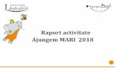 Raport activitate Ajungem MARI 2018 · 2019-12-06 · Povestea Ajungem MARI Până în 2018 s-au implicat în program peste 6.100 de voluntari care au devenit pentru copii și tineri,