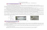 HF LH SHQWUX )OH[IRUP 0RGXOXOcursuri.flexform.ro/.../grupa7/Vasiu_Ioan/portofoliu.pdf · 2012-03-16 · Ieşirile sunt bobine de relee, elemente semnalizare (acustice, optice). Intrările