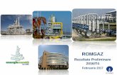 ROMGAZ...7 48,5% 46,1% 5,4% Producători de gaze in România (2015) ROMGAZ OMV Petrom Alții* Contextul economic șipiațagazelor naturaleRomânia: Producători de gaze naturale, Prețuri,