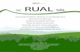 Graphic1 - Rual SRLrualsrl.ro/wp-content/uploads/2012/12/rual.pdf · pentru rulmenti de toate dimensiunile. Pentru ambalajele produse de societatea noasträ se poate face tratarea