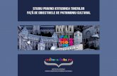 Studiu privind atitudinea · 2018-12-13 · Studiu privind atitudinea tinerilor față de obiectivele de patrimoniu cultural Studiu realizat în cadrul proiectului „Patrimoniu pentru
