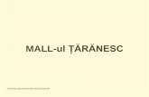 MALL-ul ȚĂRĂNESCigal.ro/Documente/Mall_Taranesc.pdf · 2017-04-10 · "Raioane cu produse țărănești " , organizate pe criterii geografice și având un administrator de raion