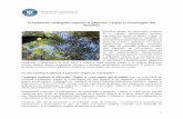 Prezentarea catalogului naţional al pădurilor virgine …mmediu.ro/app/webroot/uploads/files/2016-12-07_Prezentare...1 Prezentarea catalogului naţional al pădurilor virgine şi