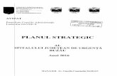 3 Plan strategic Buzau completat Cristina plan strategic.pdf · 2018-11-21 · 3 În „Monografia municipiului Buzău” apărută în anul 2002 (coordonator şi autor principal