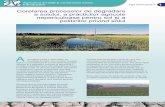 Corelarea proceselor de degradare a solului, a practicilor ... 2020/Agricultura conservativa...solului, poluarea apei, solului şi a aerului, fragmentarea habitatelor şi distrugerea