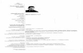  · Competente si aptitudini de utilizare a calculatorului Competente si aptitudini artistice Ate competente si aptitudini Permis(e) de conducere Pagina 2/4 - Curriculum vitae Milincu