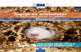 botosani.dsvsa.robotosani.dsvsa.ro/download/ghiduri_-_toate/ghid_animale... · 2017-09-07 · 1 ile na ionale competente pentru punerea în aplicare a Directivei 2010/63/UE privind