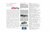 U Comunicare: ziarul, TV Presupunerea Faptul diversautodidact.granturi.ubbcluj.ro/ro/files/u17_ro.pdf · pentru o autostradă din România: o sută de maşini au fost avariate în