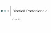 Birotică Profesională - ASEbiroticaprofesionala.ase.ro/selif/B/BPCursul12 - VBA.pdfMediul de dezvoltare Editorul VBA, accesibil din orice aplicație Microsoft Office 2007/2010: Prin