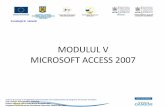 MICROSOFT ACCESS 2007alinaciltan.000webhostapp.com/Access/curs Access.pdf · Investeşte în oameni! Carieră de succes în învăţământul preuniversitar prin implementarea de
