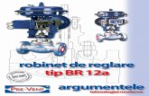 Robinet de reglare cu ventil · tip BR 12a · Robinet de reglare cu ventil · tip BR 12a 2 Aplicaţie tip BR 12a Robineţii sunt folosiţi ca element de reglaj în controlul automat