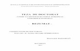 TEZA DE DOCTORATdoctorat.snspa.ro/wp-content/uploads/2017/09/Rezumat...sistemul de partide şi afecta domeniul de aplicare al reprezentării" (Sartori, 1994) sau chiar că „sistemul