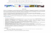 INCD pentru Microtehnologie- IMT Bucuresti () · 2018-05-31 · In plus, L5 dezvolta tehnici de rapid prototyping de la scara micro la scara macro, microsenzori si actuatori MOEMS
