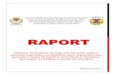 RAPORT · 2013-11-12 · RAPORT Referitor la Proiectul de lege privind unele măsuri aferente exploatării minereurilor auro-argentifere din perimetrul Roșia Montană și stimularea