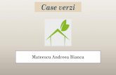 Mateescu Andreea Bianca - WordPress.com · Există două tipuri de case verzi: „casa verde extremală”, denumită casa pasivă, şi casa cu energie redusă. Diferenţa între