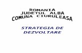 ROMÂNIA - Primaria Ciuruleasa · Web view2007 – 2013 MOTTO: