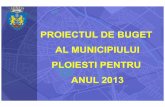 PROIECTUL DE BUGETDE BUGET AL MUNICIPIULUIAL … intalnire publica buget 2013.pdf · 2013-04-05 · -Rampe de acces pod cu lungime de 87,90m + 86,21m încadrate de ziduri de sprijin