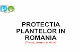 PROTECTIA PLANTELOR IN ROMANIAicdpp.ro/man_stiintifice2019/3.pdf · calitative cu privire la raspandirea buruienilor din romania partial fiind cuprinse ,, in atlasul principalelor