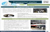 animaltransportguides.eu › wp-content › uploads › 2017 › 03 › ... Transportul vițeilorTransportul vițeilor Pentru ghidurile complete și mai multe informații: P Transportul