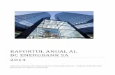 RAPORTUL ANUAL AL BC ENERGBANK SA 2014energbank.md/data/reports/2014/Raportul_anual_al_BC_Energbak_SA_2014.pdf · bancar. Cu excepția băncilor mai sus menționate, creșterea activelor