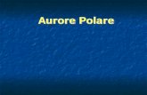 Aurore Polare - cnbs.lsv.cl.edu.rocnbs.lsv.cl.edu.ro/wp-content/uploads/Sa fie lumina, mai multa lumina... · Aurorelele polare se formează în ionosfera terestră, la latitudini