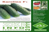 Karolina F ZKI 2011 FEBRUARIE.pdf · 2015-12-07 · 8–10 cm lungime şi 7–8 cm lăţime de 140–160 gr. Densitatea recomandată este 7 plante/m2. Pro-ducţiile medii obţinute