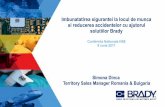 Simona Dinca Territory Sales Manager Romania & … HSE FORUM Brady...Instrumente pentru atingerea obiectivului ZERO ACCIDENTE Semnele de siguranță sunt o soluție excelentă de comunicare