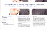 Sistem partenerial deanaliza~iprognoza pentrupiatamuncii, … POSDRU 155259.pdf · validata prin consultari, un web-site de proiect, o platforma informatica, actiuni de informare